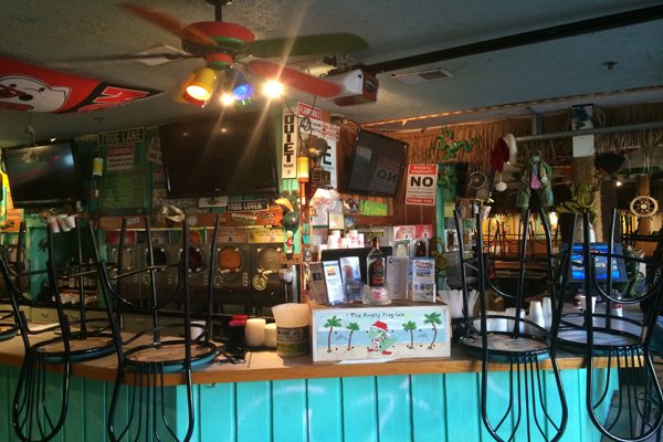 Commercial Automation System at Frosty Frog Cafe