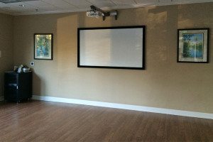 Commercial Projector Screen